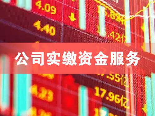 青铜峡公司实缴资金服务